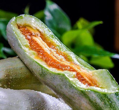 吃瓜陈建鹏网红,揭秘网红背后的故事