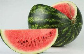 泡泡吃瓜网奇葩,揭秘网络奇谈，奇葩事件大盘点